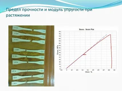 Определите модуль упругости хрящевой ткани