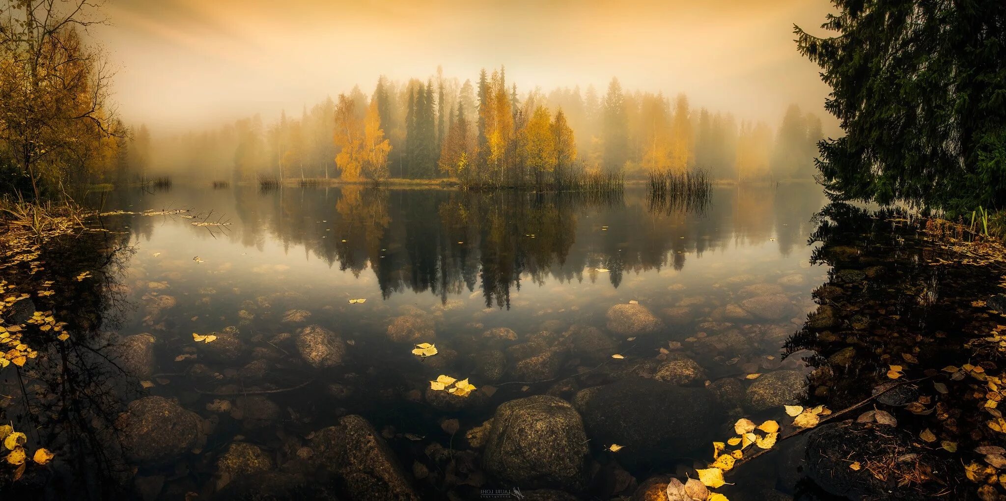 Лес любит море. Пейзаж. Осеннее озеро. Озеро в тумане. Осень озеро рассвет.