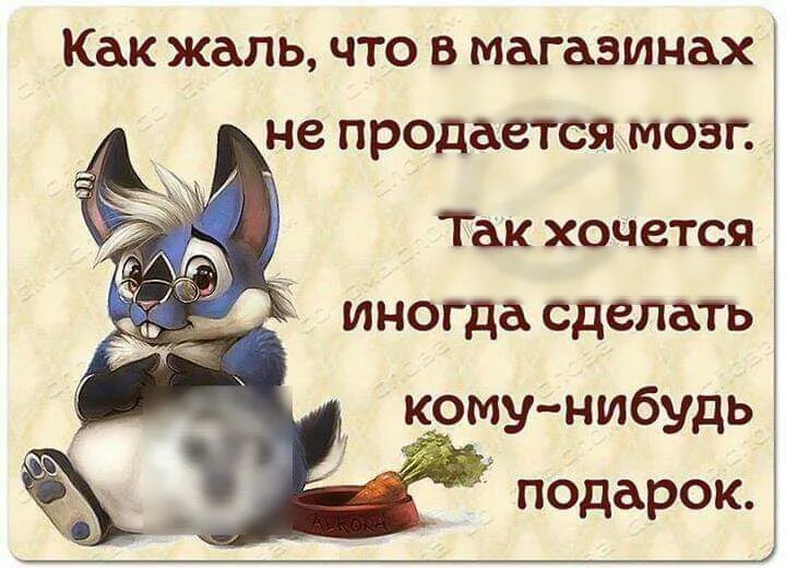 Хочу чего нибудь хорошего. Жаль что в магазинах не продается мозг. Жаль картинки с надписями. Очень жаль. Очень жаль картинки с надписью.