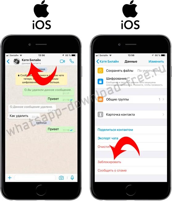 Как заблокированные номера навсегда удалить. Черный список в ватсапе на айфоне. Черный список ватсап на айфоне. Как заблокировать в ватсапе на айфоне. Заблокированные контакты в айфоне.