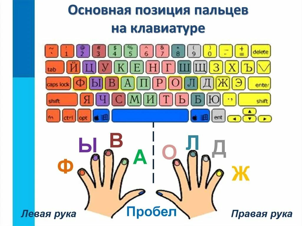 Расположение пальцев на клавиатуре. Правильная постановка пальцев на клавиатуре. Основная позиция пальцев на клавиатуре. Расположение рук на клавиатуре.