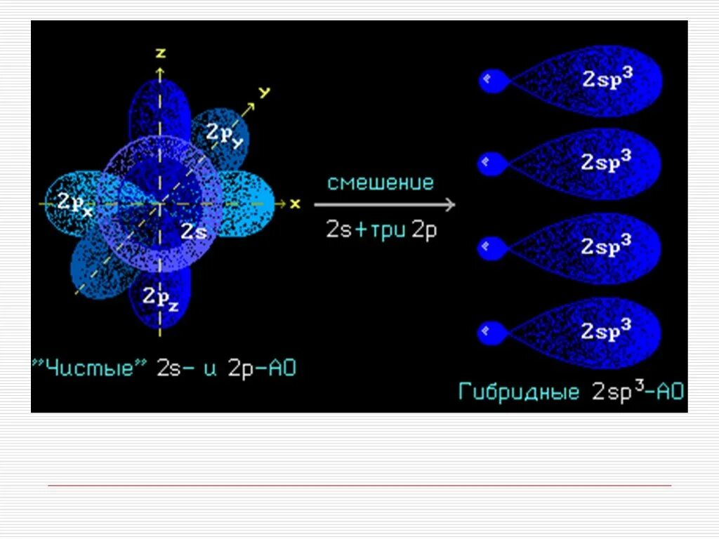 Гибридные орбитали sp3 sp2 SP. Sp3-, sp2-, SP-гибридизация атомных орбиталей углерода. Sp2 гибридные орбитали углерода. Расположение sp3-гибридных орбиталей. Алканы sp3