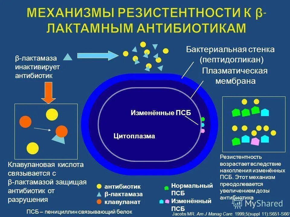 Почему слишком частое употребление антибиотиков. Механизм формирования устойчивости микроорганизмов к антибиотикам. Механизмы резистентности бактерий к антибиотикам. Антибиотики механизм формирования антибиотикорезистентности. Схема механизм устойчивости микробов к антибиотикам.