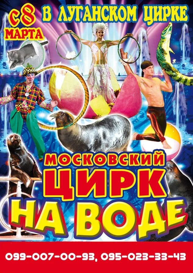 Цирк на воде владивосток 2025 афиша. Цирк на воде. московский цирк на воде. цирк на воде афиша. цирк водная феерия.