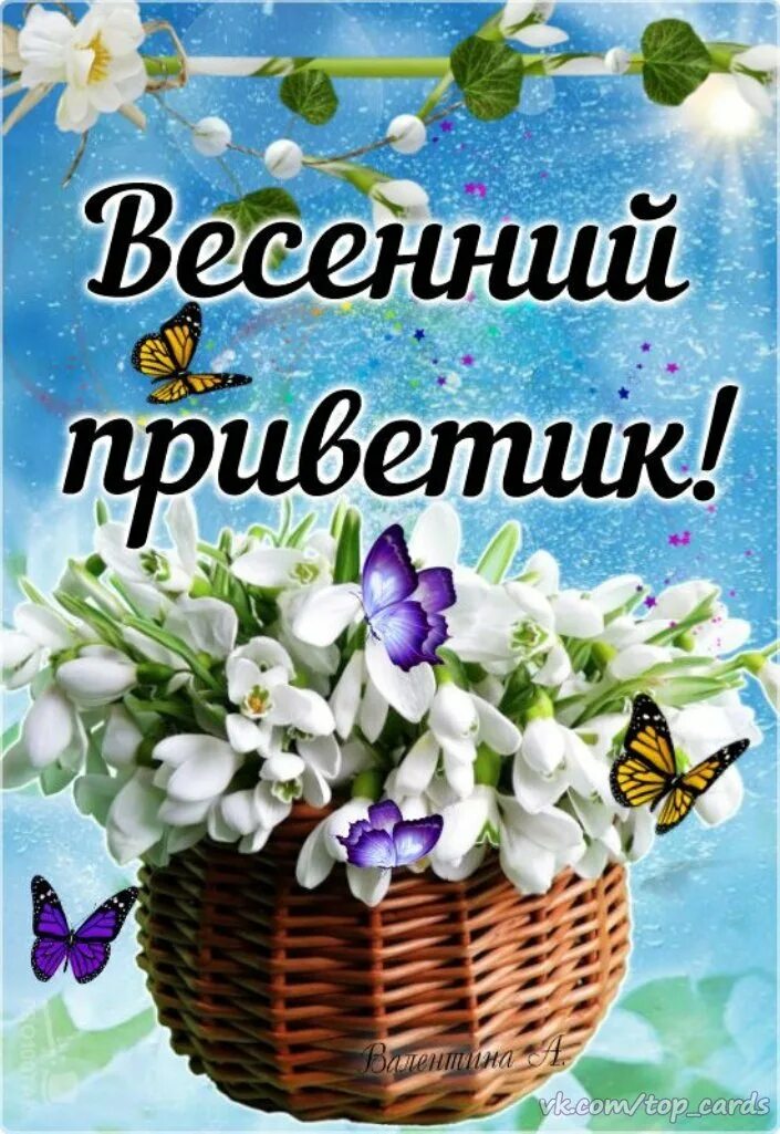 Весенний привет