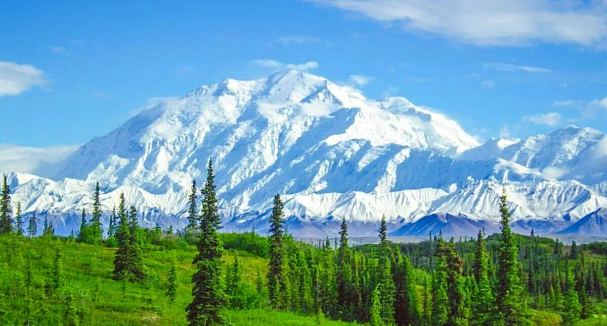 Гора Маккинли Аляска. Гора Мак-Кинли (штат Аляска). Денали парк Аляска. США гора Мак Кинли.