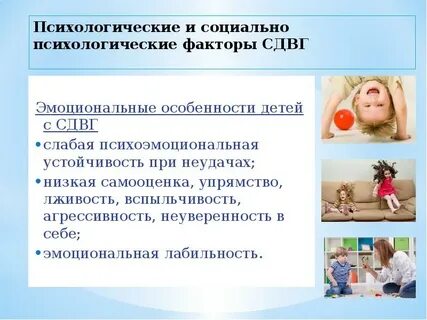 Коррекция сдвг