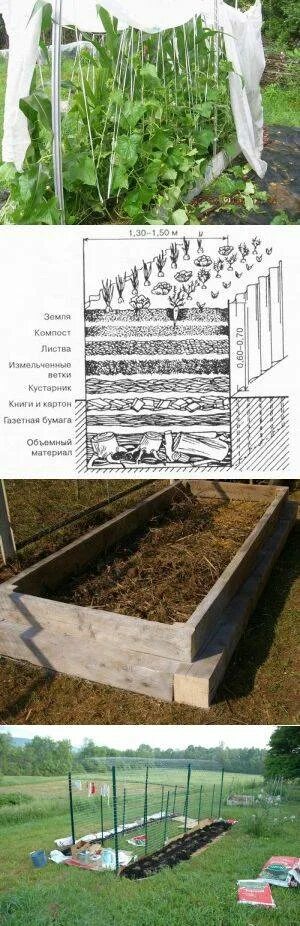 Навозная грядка для огурцов в теплице. Теплые грядки. Навозная грядка для огурцов. Насыпные грядки для огурцов.