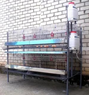 Ставрополь комбикорм