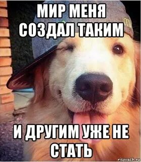 Я другим уже не буду