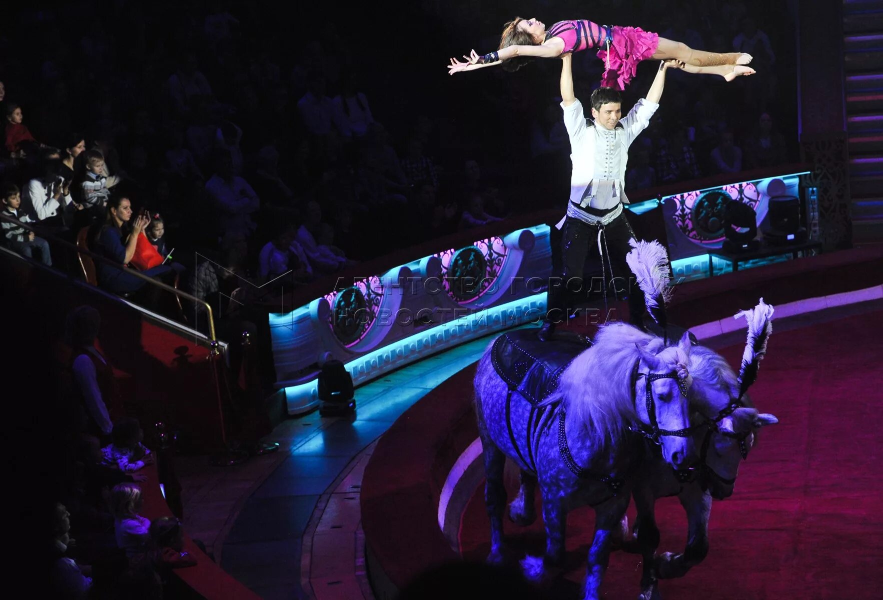 Большой московский цирк на проспекте вернадского. Представление в цирке на цветном бульваре. Цирк куда сходить. Цирк куда сходить. Большой цирк на проспекте вернадского.