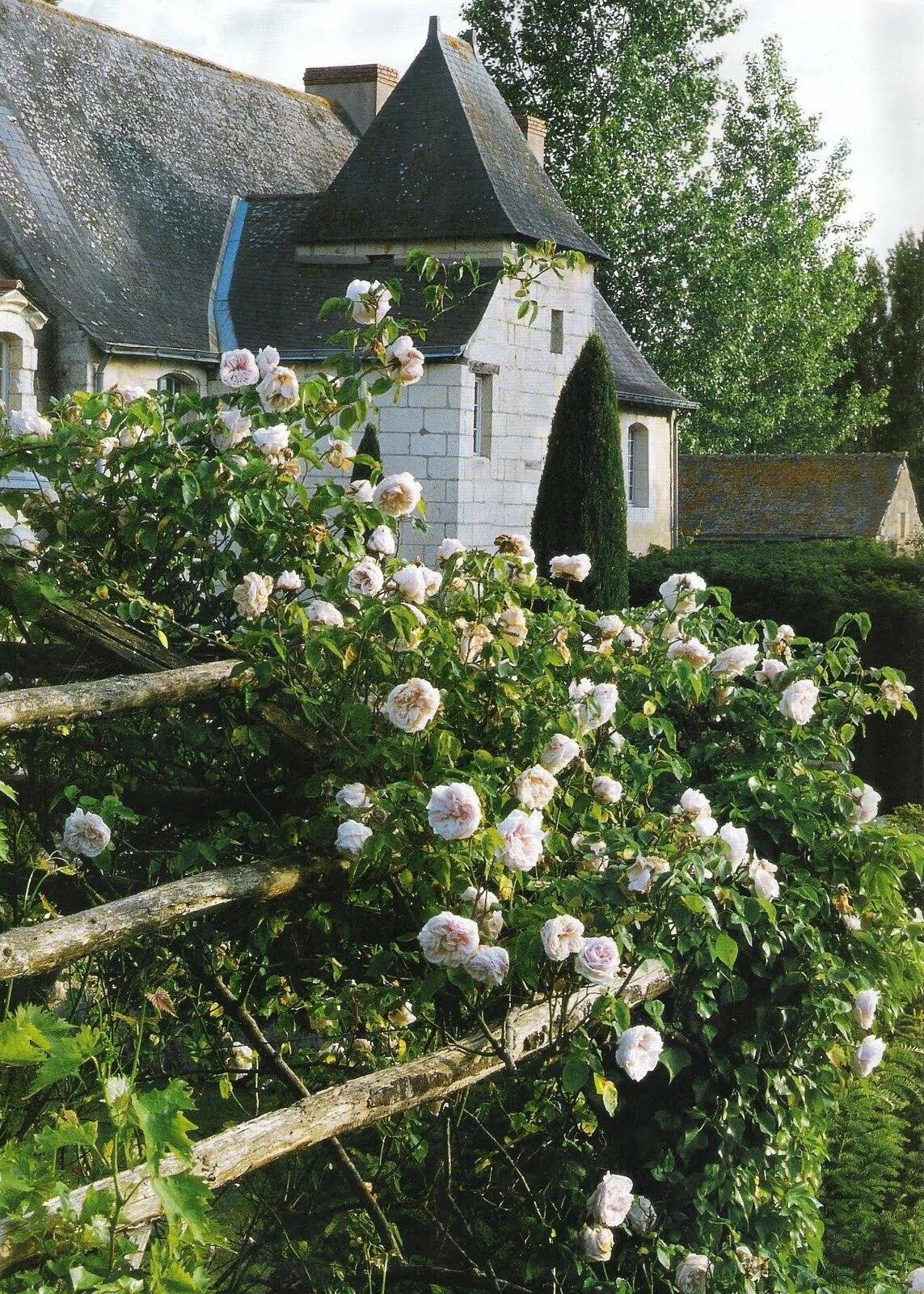 Майн шонер гартен. Майн Шонэ Гартен (Mein Schoner Garten).