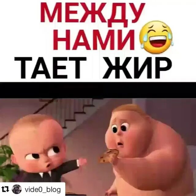 Между нами тает жир. Жир тает. Тает жир. Песня между нами тает жир текст. Песня тает жир.