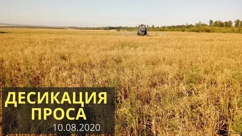 Видео просе