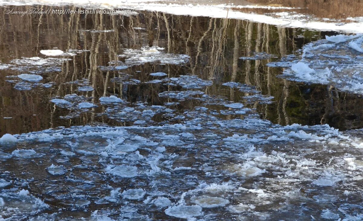 Талые воды весной. Весенние воды. Апрель вода. Весенние воды картинки.