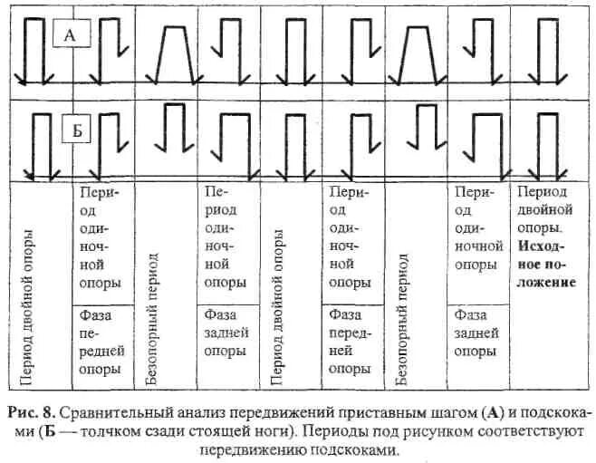 Фазы опоры