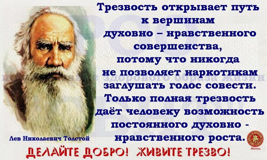 Как стать сознательным трезвенником