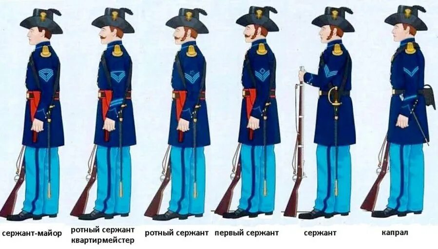 Форма юга и севера. Форма юга и севера