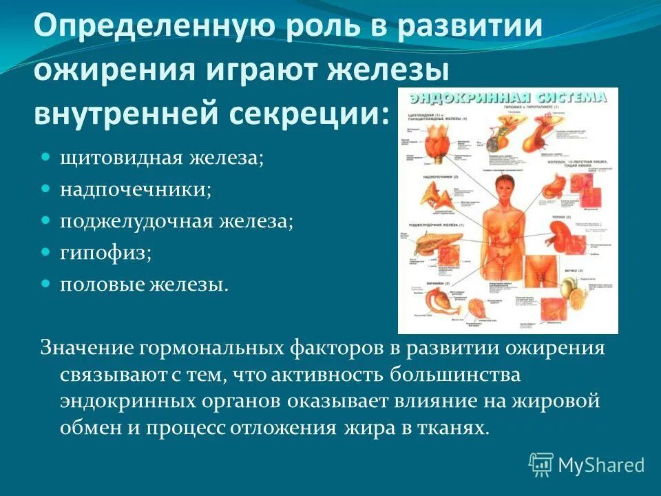 эндокринная функция жировой ткани биохимия. эндокринные органы. ожирение эндокринная система. ожирение эндокринная система. метаболический механизм ожирения.