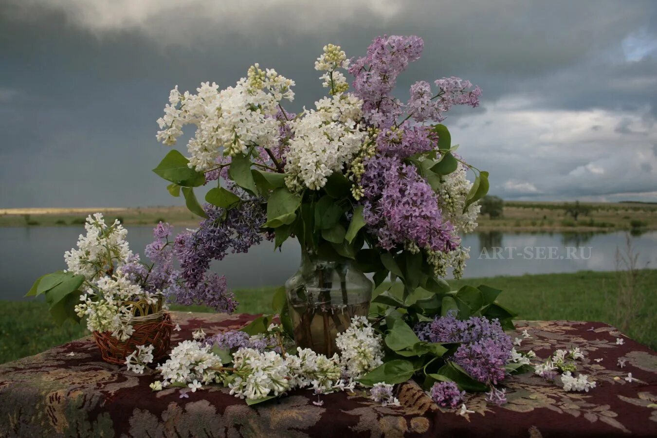 Майский сад сирень черёмуха. Сирень Фрэнк Патерсон. Сирень Анри Робер. Майский день слушать