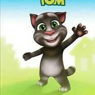 Получить кот том