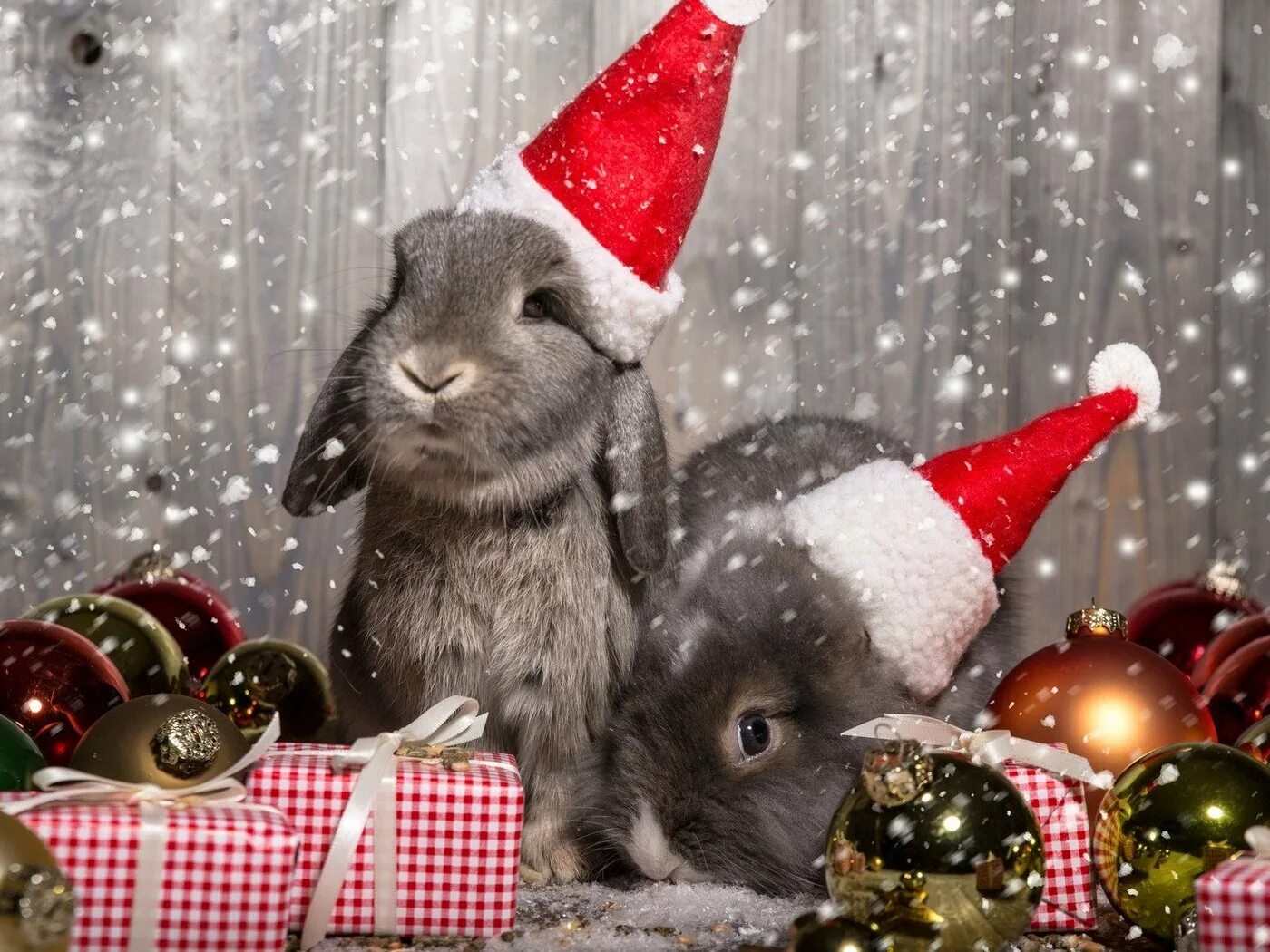 Новый год 2023 красивые. Новогодние животные. Новогодний кролик. Кролик новый год. Новогодний заяц.