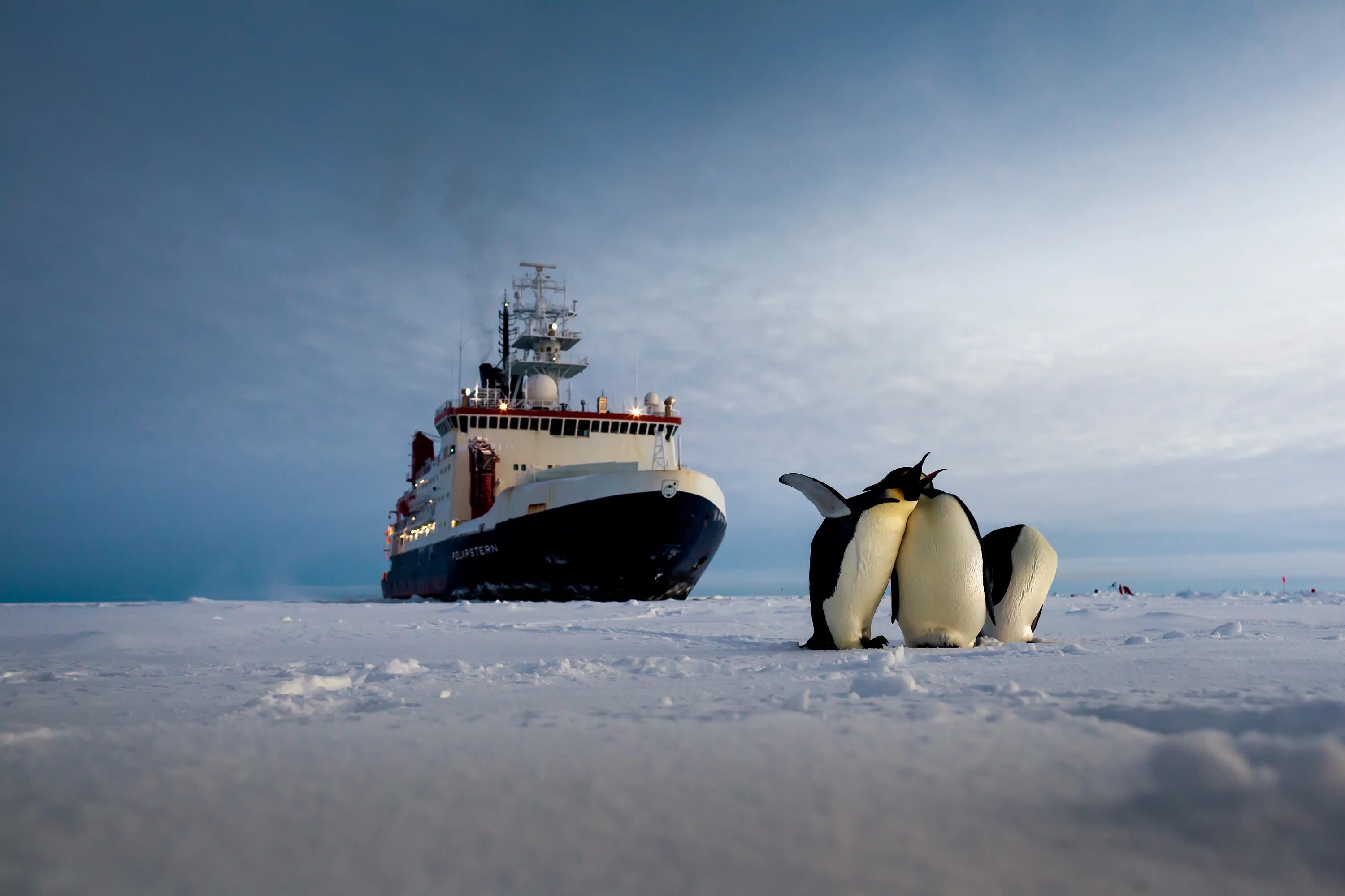 Экспедиция северный ледовитый океан. Ледокол в Антарктиде. Северный Ледовитый океан ледокол. Экспедиция в Арктику.