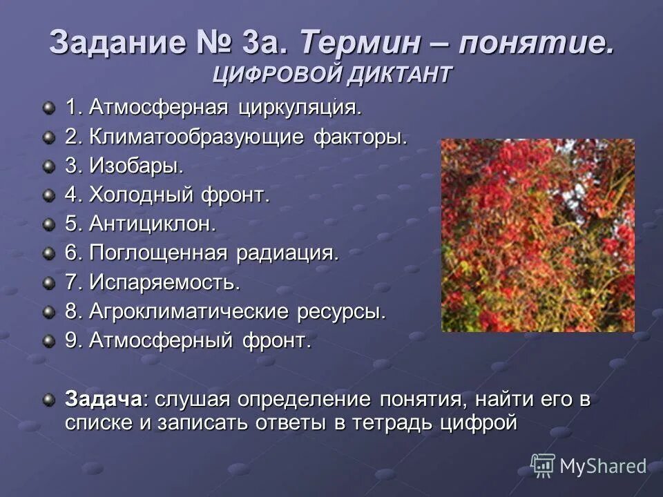 Доклад на тему климат россии. Пояс и тип климата россии география. Якутск климатический пояс и тип климата. Обобщение по теме климат 8 класс. Воздействие деятельности человека на умеренный климат.