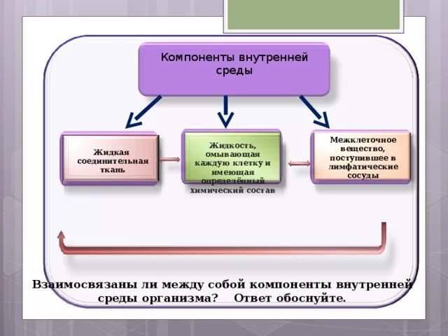 Определите какие компоненты составляют внутреннюю среду организма. Определите какие компоненты составляют внутреннюю среду организма