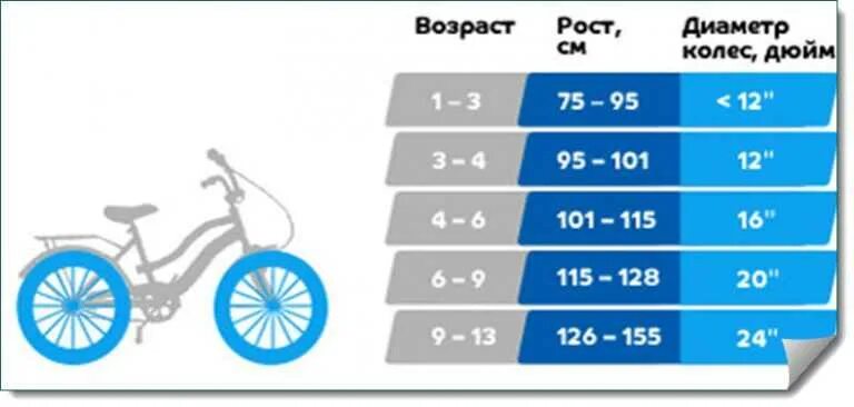 Диаметр колес 20. Как выбрать диаметр колес для детского велосипеда. Велосипед по росту ребенка. Велосипед по возрасту. Детские велосипеды по росту.