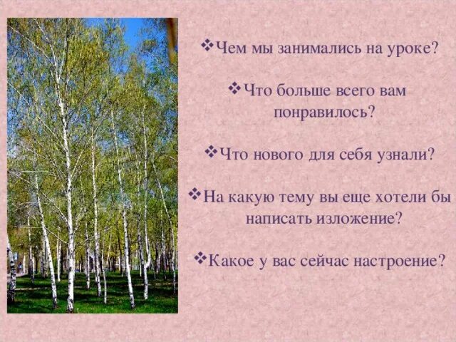 Родные березки изложение. Изложение береза. Изложение Березка. Изложение берёза-символ России. Изложение 5 класс по русскому языку березы.