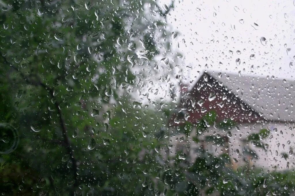 Дождливое лето. Летний ливень. Дождь летом. Дождь за окном.