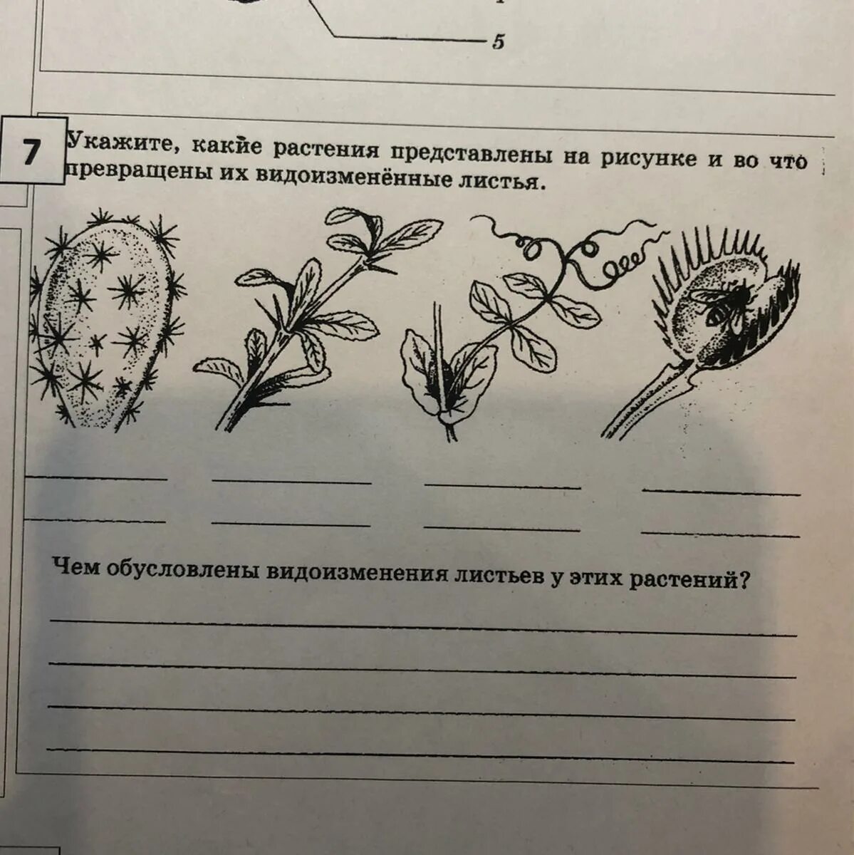 Рассмотри рисунок и заполни пропуски.. Рассмотрите рисунок и заполните пропуски. Рассмотри схему и заполни пропуски.. Рассмотрите рисунок и заполните пропуски в тексте. Заполни пропуски 39