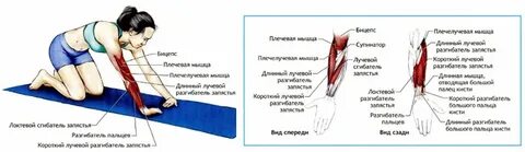 Не поднимается рука причина