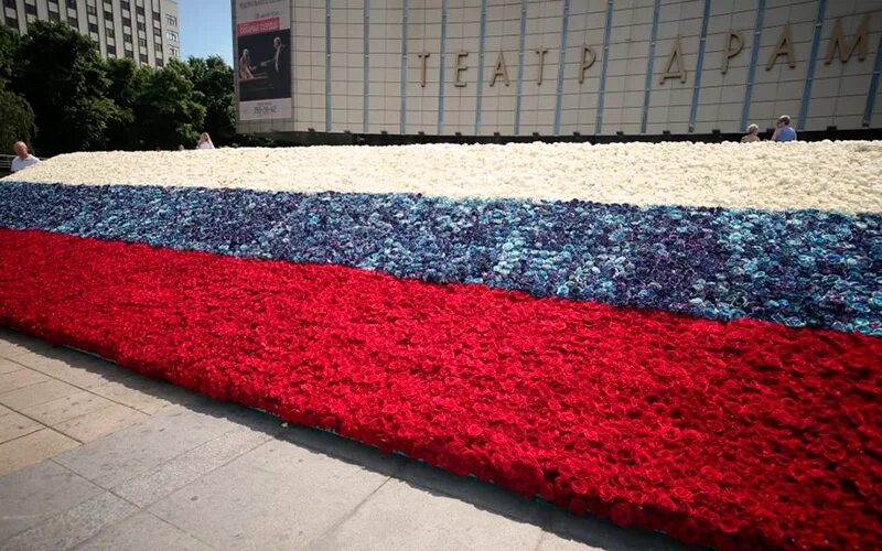 Цветы и российский флаг. Цветы цвета российского флага. Клумба в виде российского флага. Шары триколор. Флаг российский.