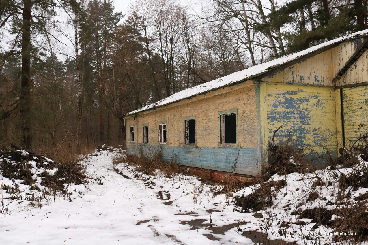 лагерь ласточка. детский лагерь ласточка красноярск. базайская 365 г красноярск лагерь ласточка. детский оздоровительный лагерь ласточка красноярск. лагерь ласточка красноярск.