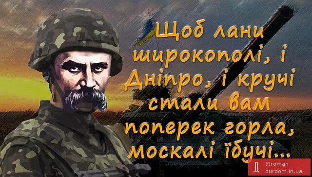 Лани широкополі. Москали геть. Щоб лани широкополі і Дніпро і кручі стали вам поперек горла москалі. Украинский кацап иллюстрации. Смерть ворогам