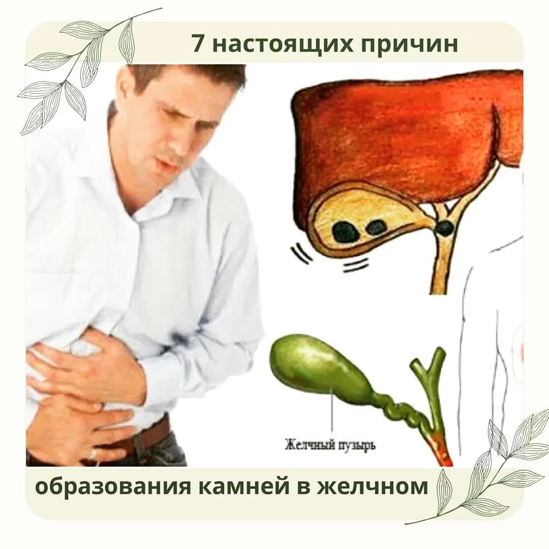 сироп для поджелудочной железы. шиповник для желчного пузыря. шиповник при камнях в почках. препараты от камней в желчном. шиповник для желчного пузыря.