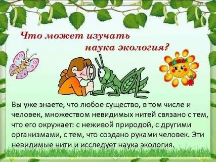 Мир глазами эколога видеоурок 4 класс