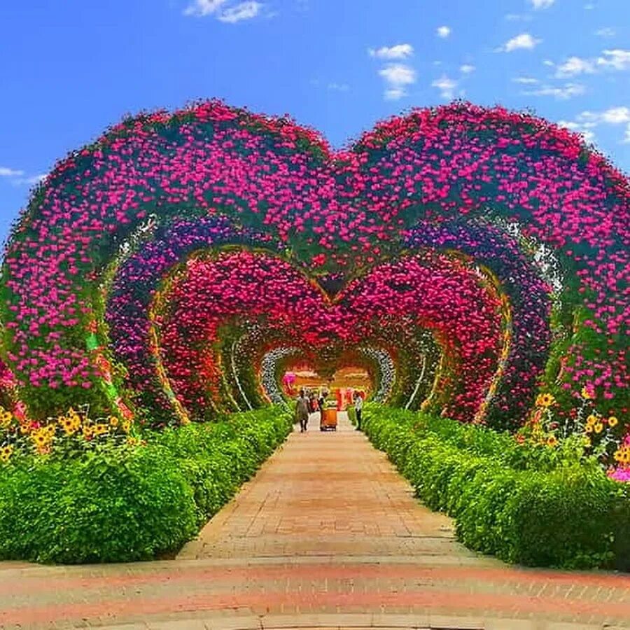 Парк цветов в дубае. Миракл гарден дубай. парк цветов miracle garden дубай. дубай парк гарден 2025. парк цветов миракл гарден фигуры.