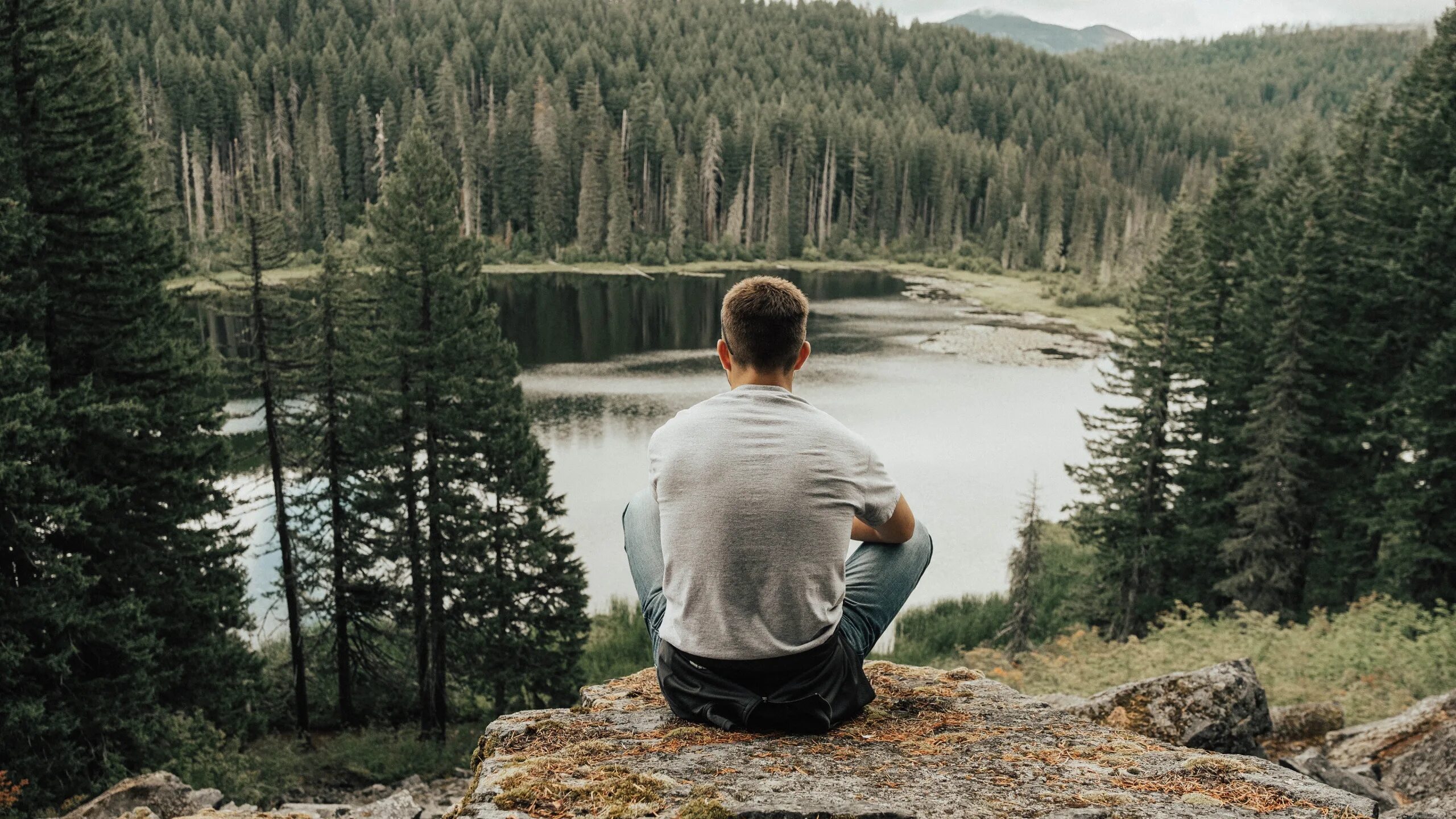 Колин ферт одинокий мужчина. Хороший одинокий мужчина. Дэниел крейг воспоминания. Парень в лесу. Одиночество мужчины.