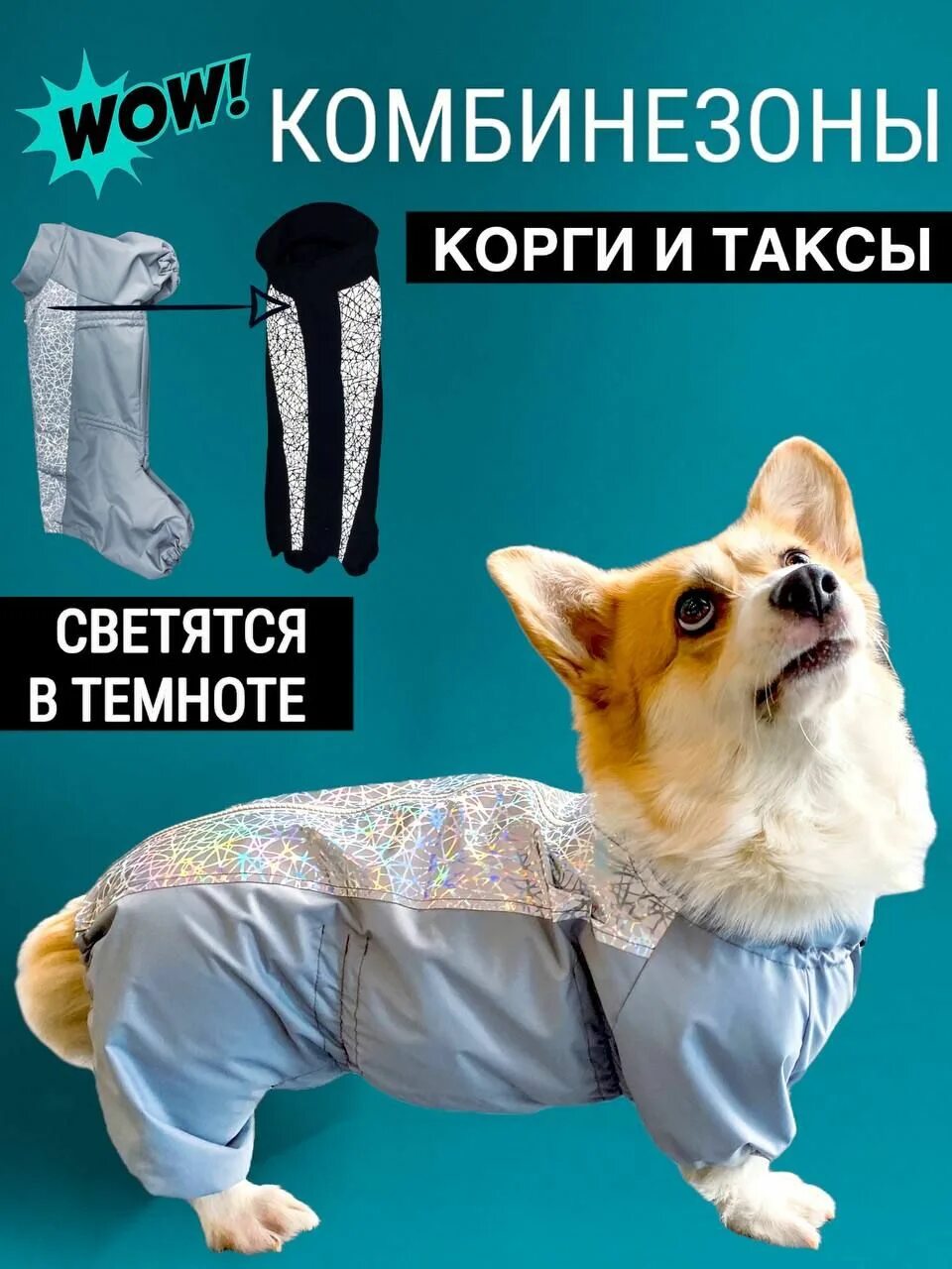 Кличка для корги девочки. Светящийся комбинезон. товары с корги. клички для корги девочек. красивые имена для собак девочек корги.