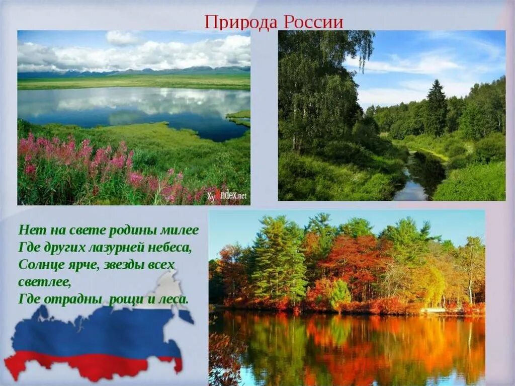 Природа нашей Родины. Презентация на тему природа России. Разнообразие природы России. Проект природа России. Презентация на тему родина россия 4 класс