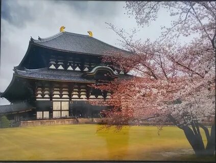 Japan москва