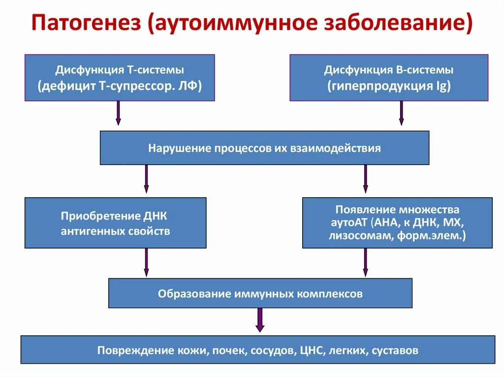 Исходы патогенеза. Механизмы развития аутоиммунных процессов патофизиология. Патогенез аутоаллергических заболеваний. Механизм развития аутоиммунных болезней.. Аутоиммунные заболевания механизм развития схема.