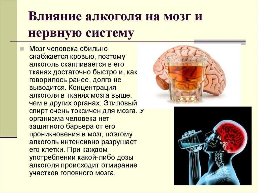 Сотрясение можно ли пить. Алкоголь и нервная система.