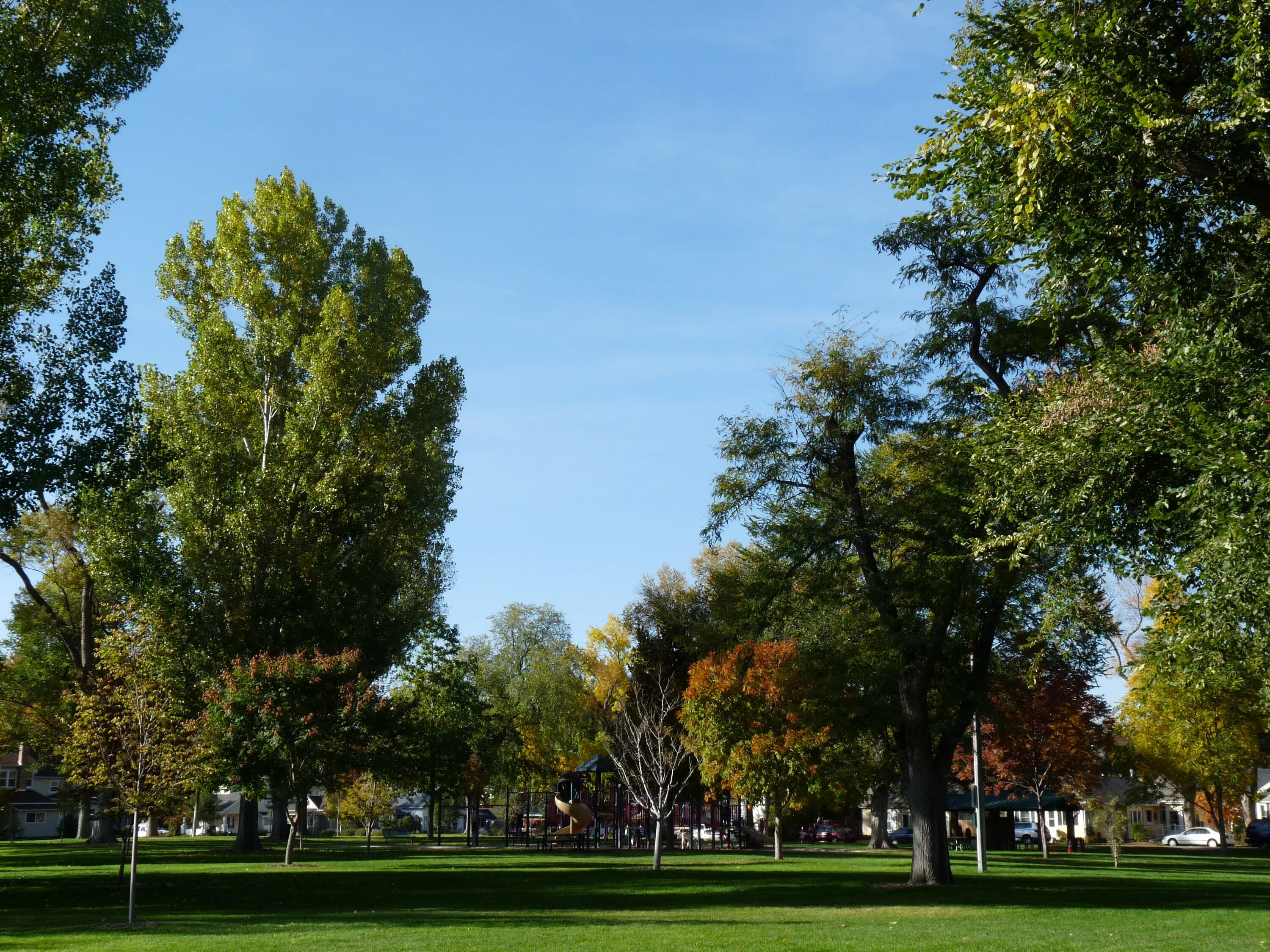 Main park. Виндзор Колорадо.