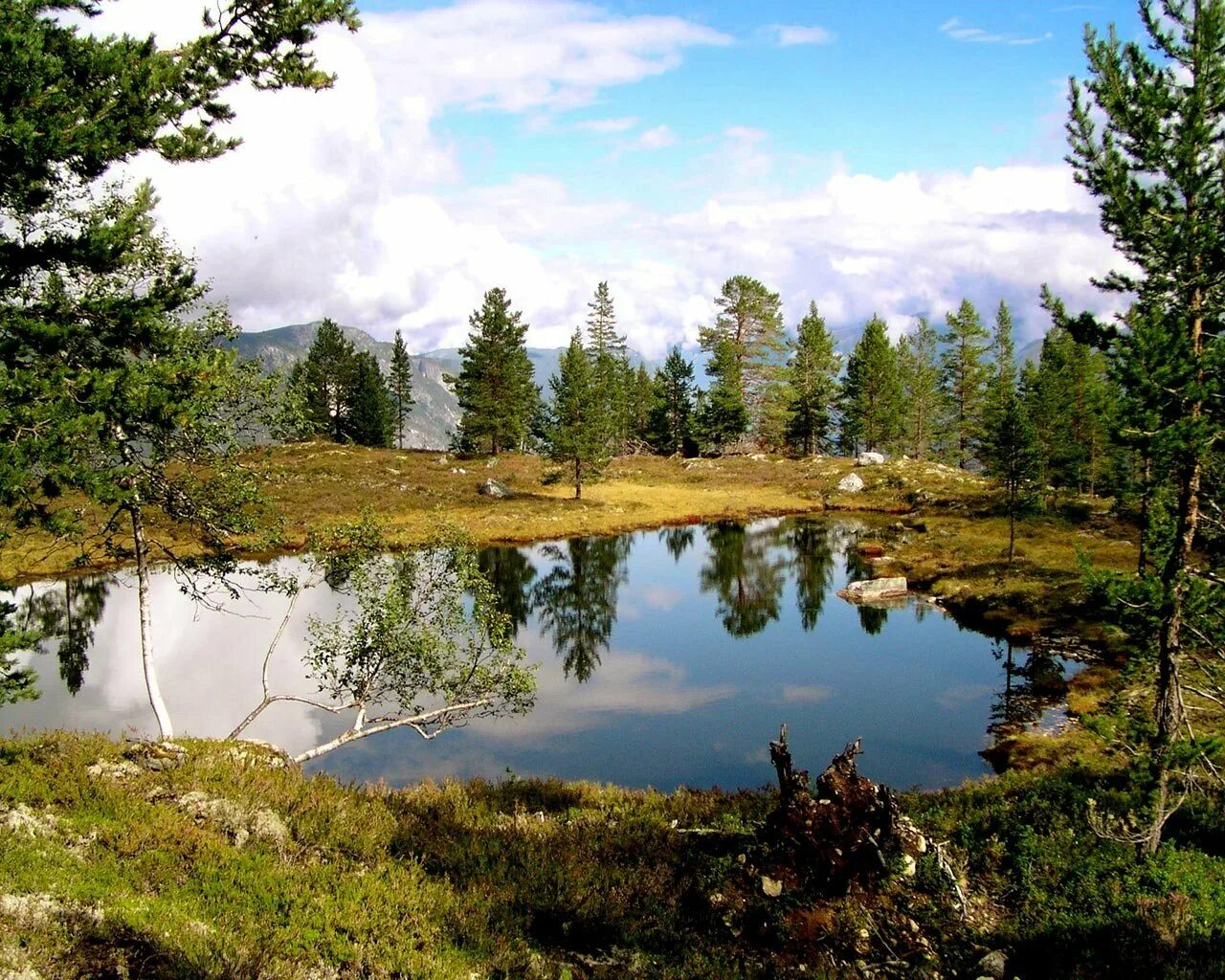 Природные рекреационные ресурсы россии. Природные рекреационные ресурсы. Рекреационные ресурсы это в географии. Бахчисарай (ландшафтно-рекреационный парк). Рекреационные ресурсы презентация.