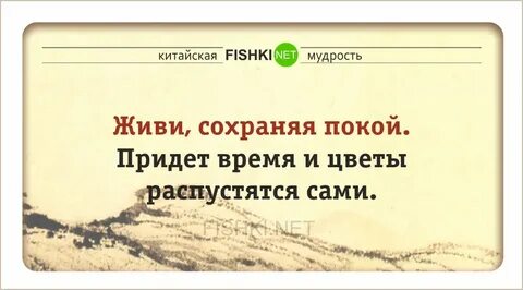 Мудрость дня на русском языке