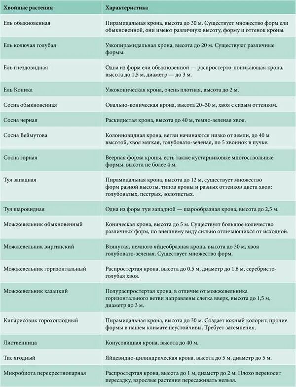 Хвойные растения таблица. Схемы обработки хвойных растений. График подкормки хвойных растений. Таблица ухода за хвойными растениями. Таблица хвойных